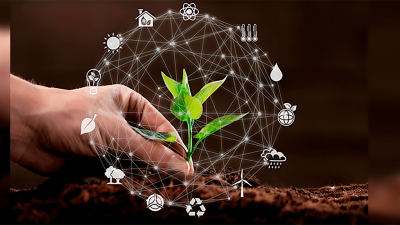 O Ouro Verde: Como o Crédito de Carbono Pode Transformar a Economia Brasileira